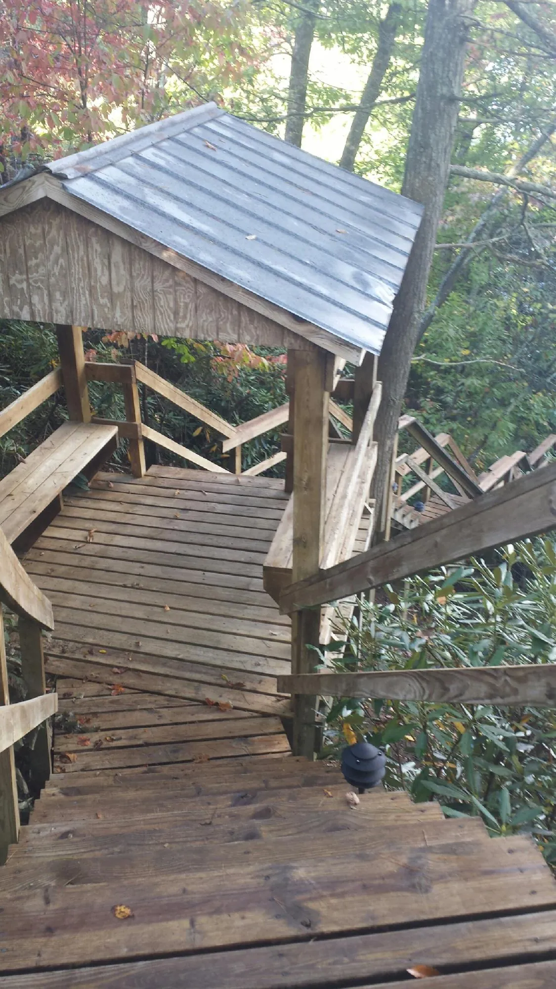 Metal roofed shelter over wooden steps on a wooded walkway — Skylight Repair & Installation work by our crew in Bitely