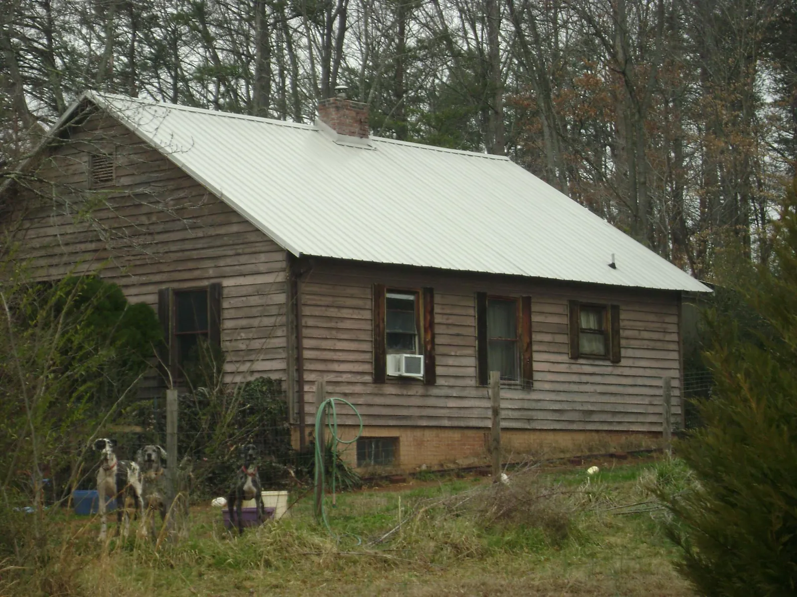 White metal roof on an old wood sided farmhouse, from a Metal Roof Installation job in Bitely